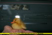 Dateinumm=ducky.jpg
Gréisst vun der Datei=96KB
Dimensiounen=1200x800
Datum vum Upload=Juni 16, 2005 ducky.jpg