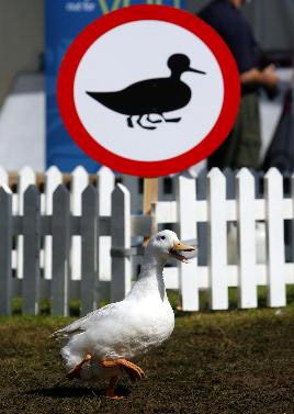 Stumpy Sign