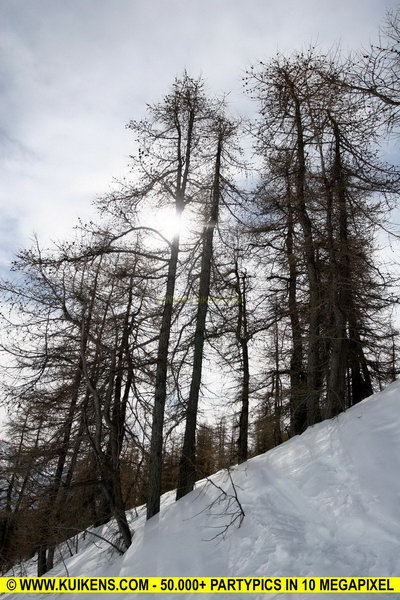 Hei klicken fir d'Bild an voller Gréisst ze gesinn